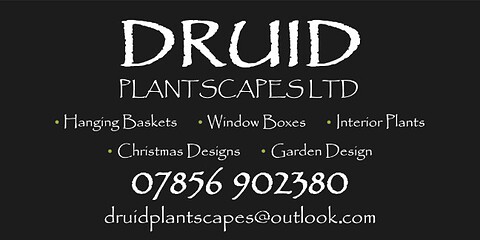 Druid Plantscapes LTD