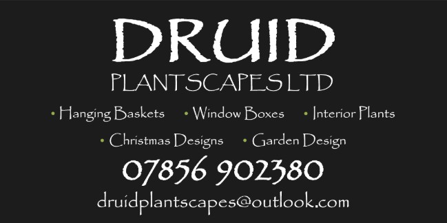 Druid Plantscapes LTD